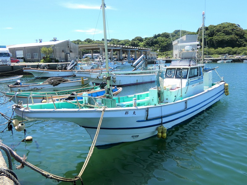 【平日】ビシアジ釣りプラン