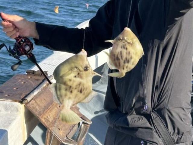◆午前◆カワハギ釣りプラン☆初心者の方も大歓迎♪☆