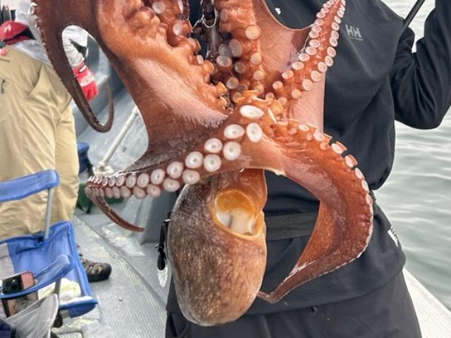 ���������ޥ������ץ����鿴�Ԥ������紿�ޢ���