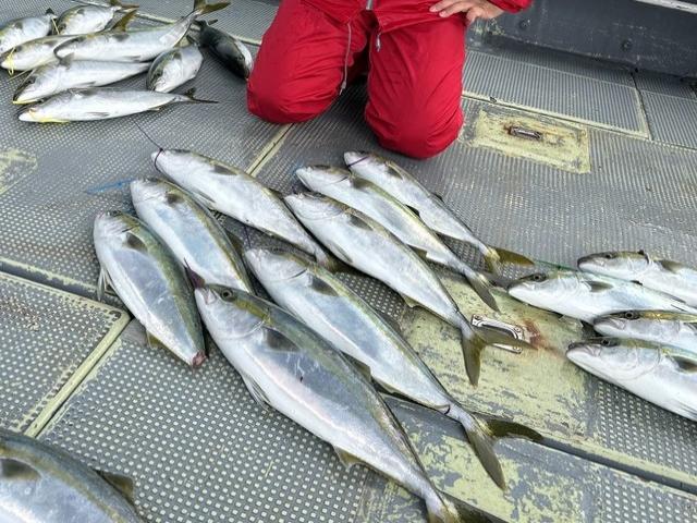 ◆午前◆落とし込み釣りプラン☆初心者の方も大歓迎♪☆