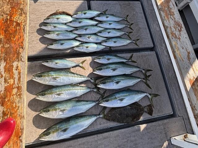 ��1����ӡ������ˡۡԸ����ءե��������ץ��