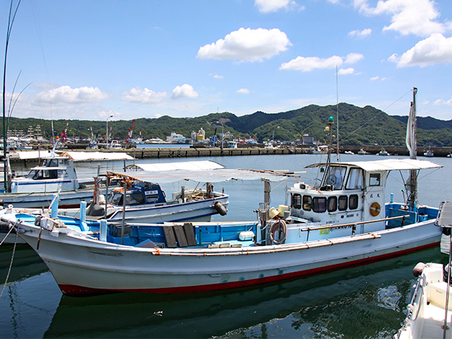 落とし込み釣りプラン