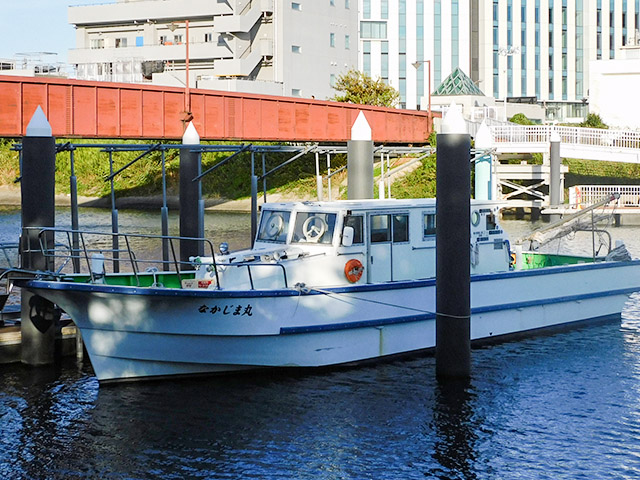 �����������ץ��