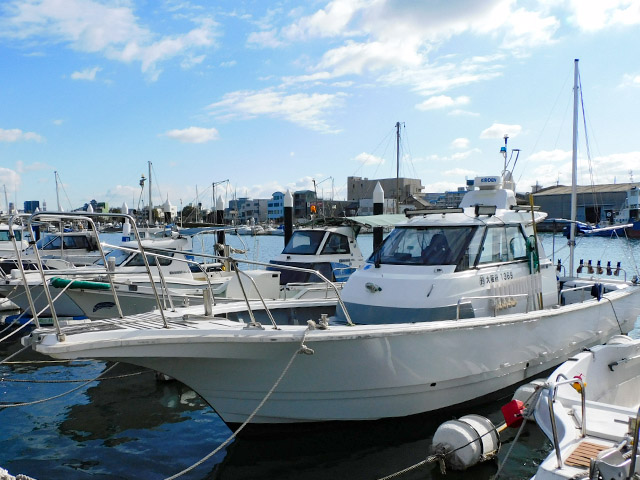 ��3�4��ʿ��������鿴�Ԥ������ᡪ������θ��ץ��