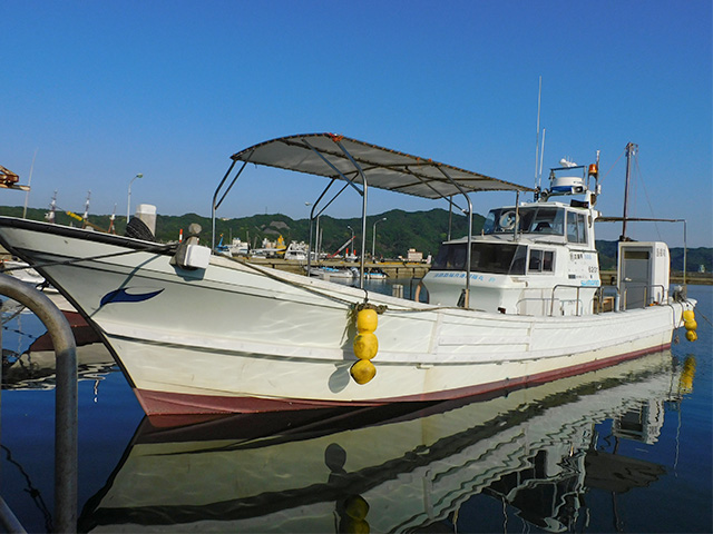 大型魚が楽しめる!イワシのノマセ釣りプラン★中学生以下のお子様4,000円★