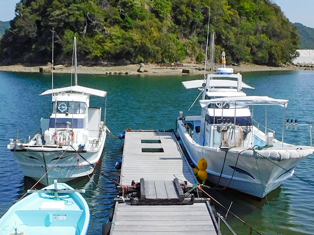 ��ʿ������Х륵�ӥ����ץ��