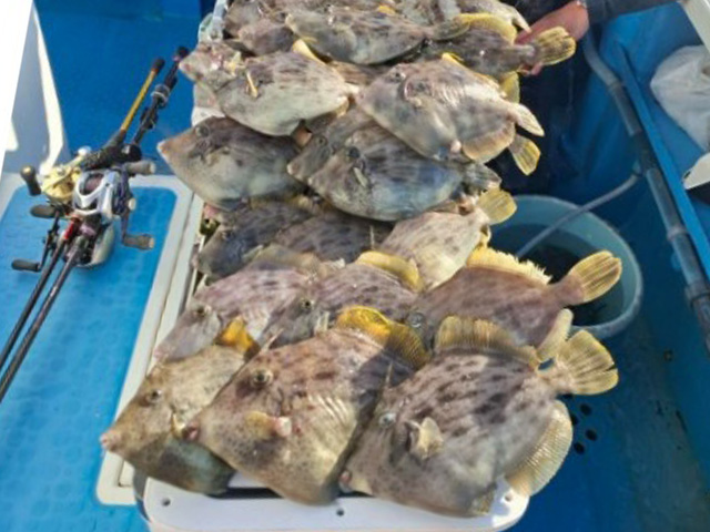 �������������֡�����ϥ����ץ��㥨����ɹ�դ����ʡ���