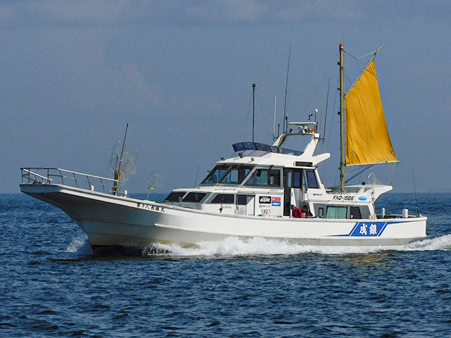 ��ꥤ�����ץ��