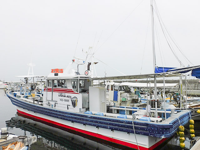 ���������������ץ��