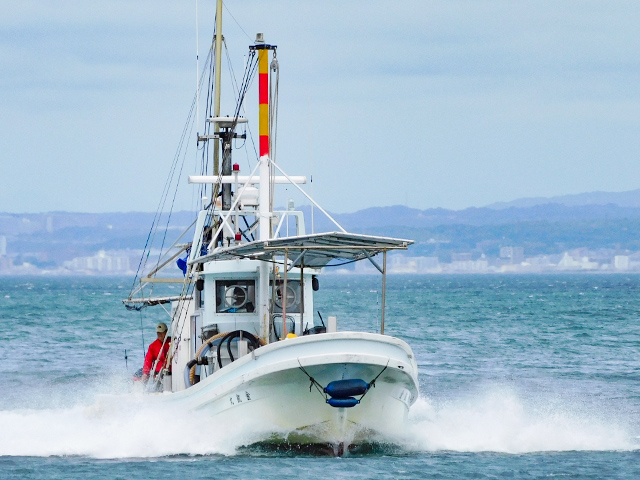 �����������������ץ�����Ȥγ�Ʈ���������������