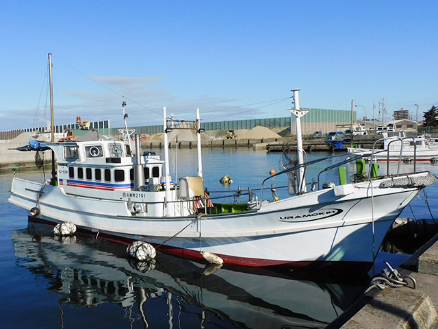 �ޥ������ץ��