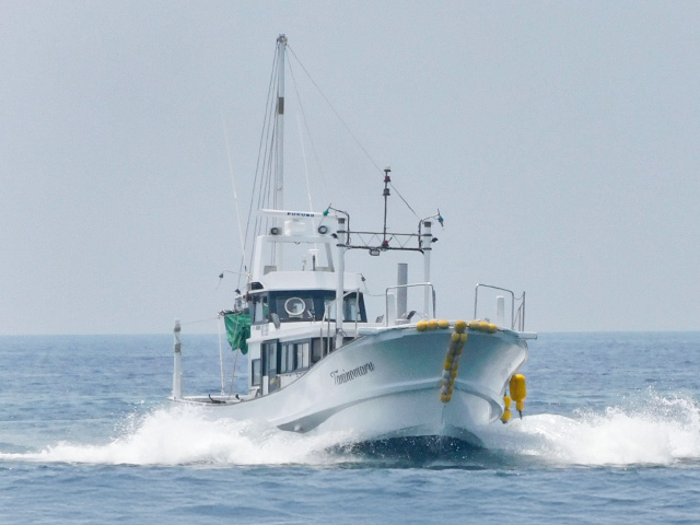 �����������㥹�ƥ��󥰡���������ץ��