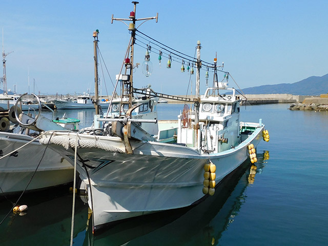 �ޥ������ץ��