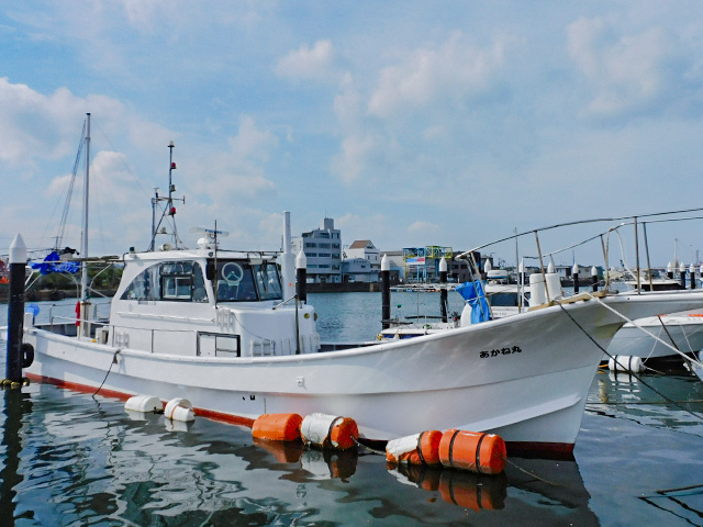 <1日便>カワハギ・タチウオ釣りプラン