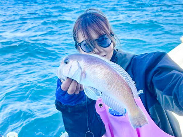 �������ء��������ޥ���&�����������ץ���ŷ��OK��㥵�ӥ��ǥ������⡪��