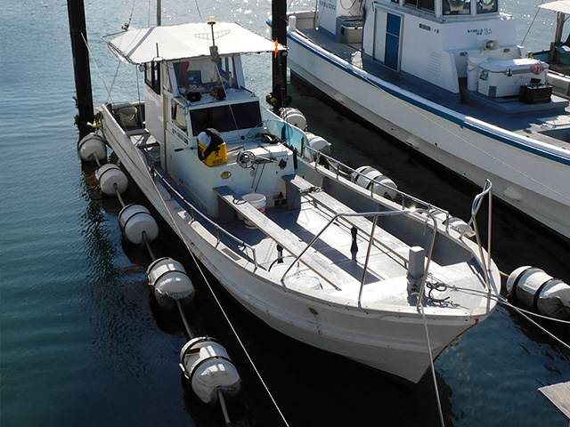 �������آ������������ץ��㥵�ӥ��ǥ������⡪��