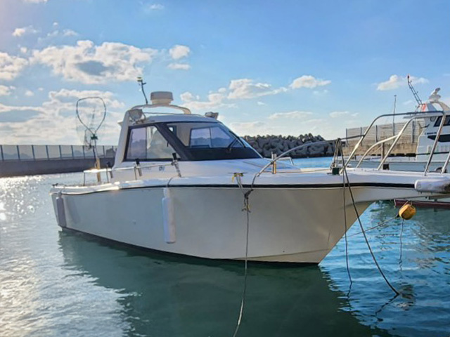 <遠海C海域>鯛ラバ・SLJ・BLDプラン