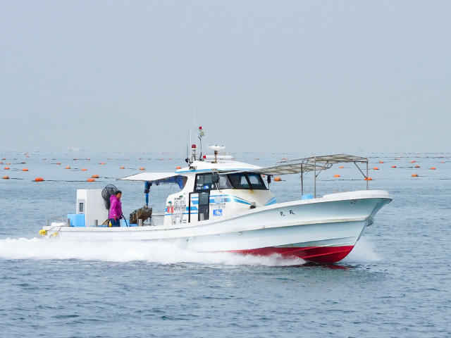 �������ˡ��������͵����ޥ������ץ��