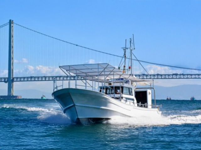 ������С��ץ��