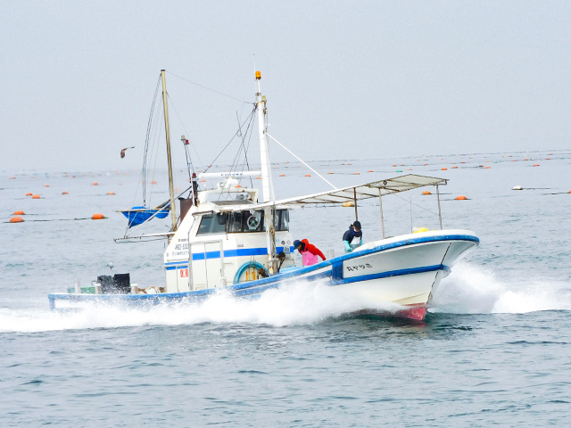 ���ޥ������������������ӥ����ץ���������