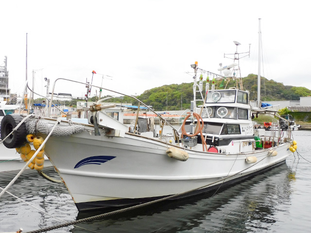 ������С�SLJ�ץ��