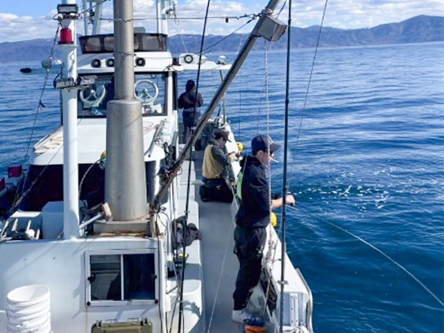 ☆午前☆冬の醍醐味!寒ブリジギングプラン