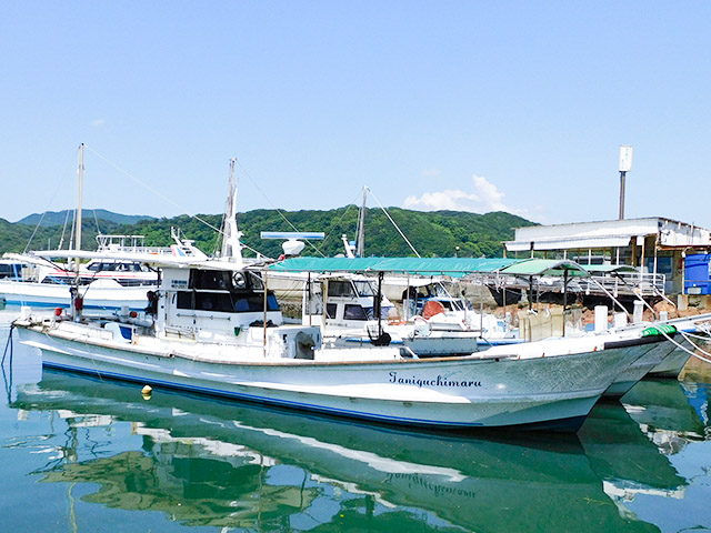 ★加太の真鯛★大物釣りプラン