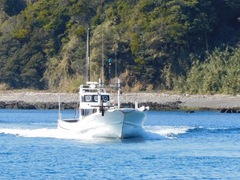 �����椦��