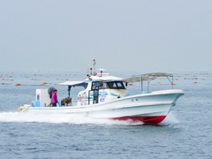 ���ӥ���