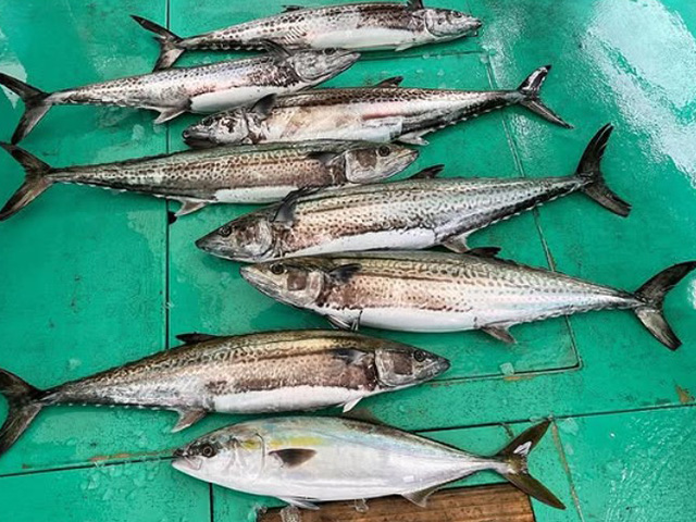 �����Ĵݡۥ��������