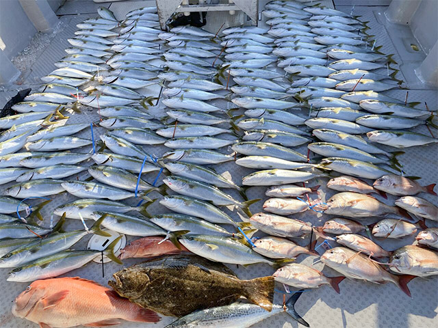 【ミタチ丸】釣果例