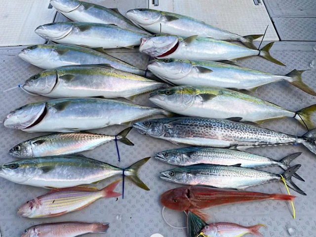 【ミタチ丸】釣果例