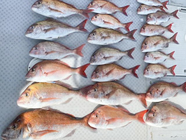 【ミタチ丸】釣果例
