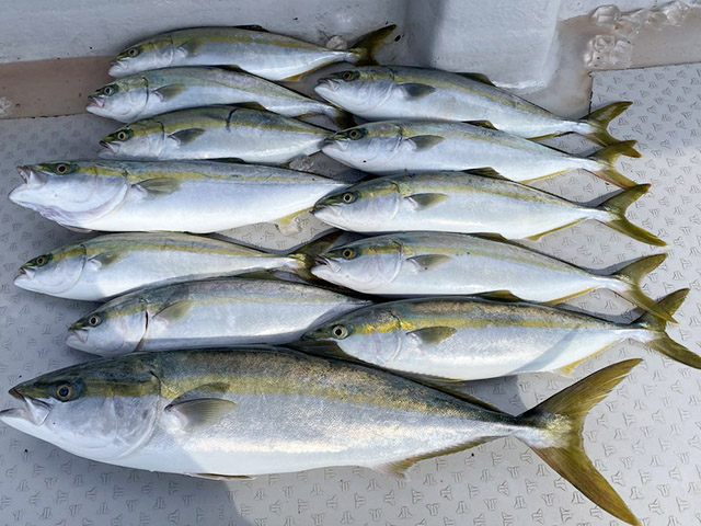 【ミタチ丸】釣果例