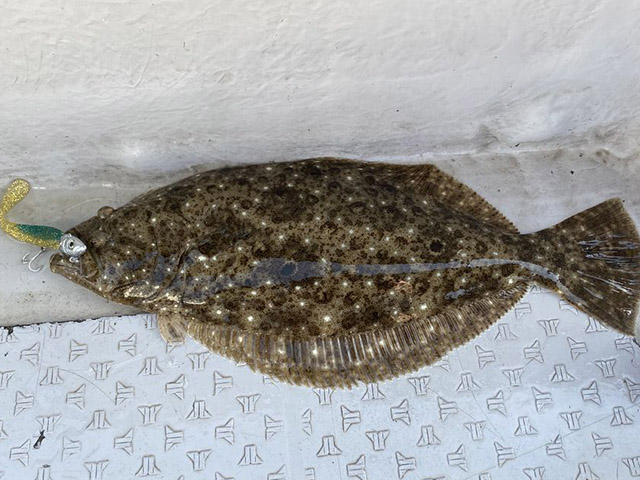 【ミタチ丸】釣果例