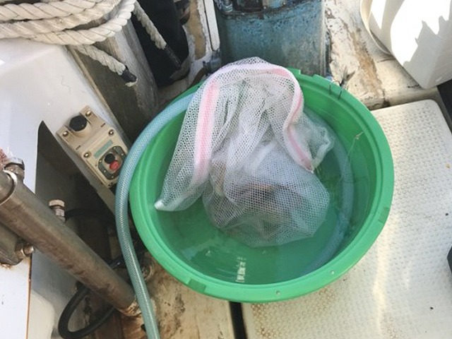 【船釣り角田】マダコで洗濯ネット使用中