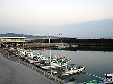 【ちさと丸】赤岡漁港の全景です