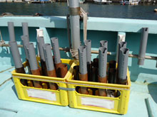 ������ݡ�����