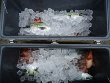 ������ݡ�