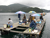 【西森渡船】イカダ釣りの風景