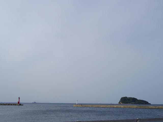 【こうゆう丸】港沖に見える猿島