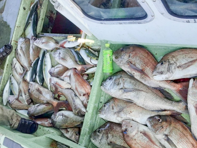 【泉漁丸】前方釣り席