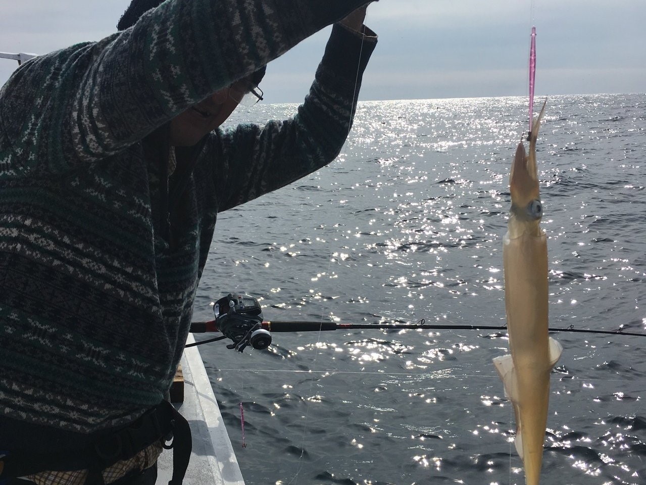 【日立丸】パラソル級のヤリイカ釣りが面白い