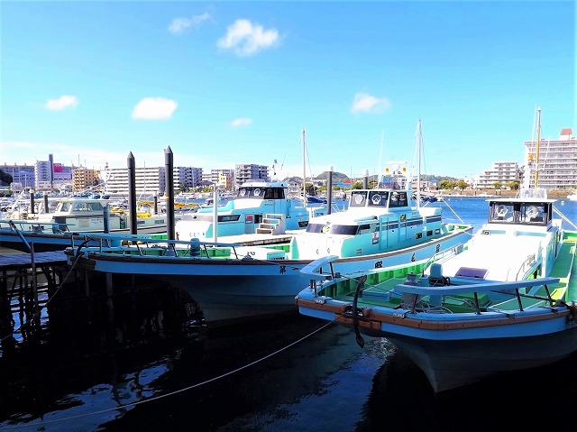アオリイカの釣果など|2023年2月14日|野毛屋釣船店(神奈川県/金沢八景平潟)