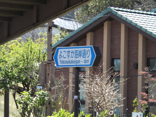 【菱倉丸】漁港前の道路