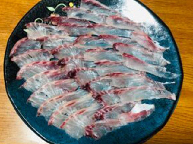 【角漁丸】加太の魚は美味しい！