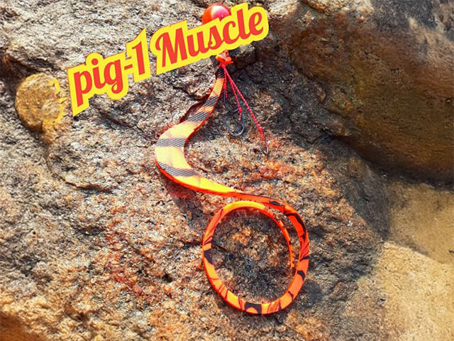 ڳڡpig-1 Muscle