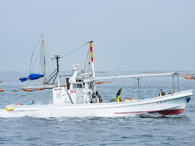 �ڤ��ʴݡ۱�¦���