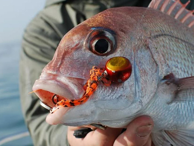 FISHING FOOLۥФ