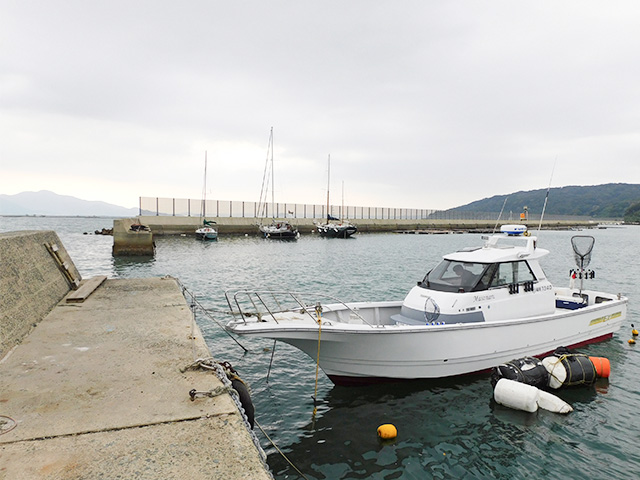 �ڤޤ��ޤ�۾������